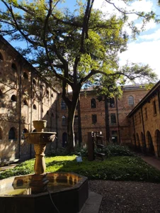 avi_frost more nature, and more coffee Εικόνα 3