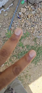 Haryanavikingandqueen's XXX Nude Photo 1