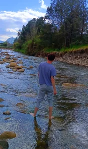 GabyThoms kullanıcısının 🌻🌞🌞 albümü -  2 fotoğraf