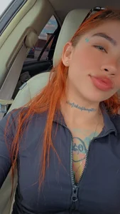 venushart Public slika 6