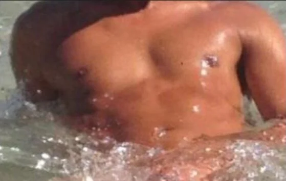 Трендове зображення  8311 Chicodotaxl