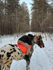 Adele_Shy_ Your fatal horsewoman🏇🏻🤩 صورة واحدة|Adele_Shy_ Your fatal horsewoman🏇🏻🤩 صورتان|Adele_Shy_ Your fatal horsewoman🏇🏻🤩  4 صور|Adele_Shy_ Your fatal horsewoman🏇🏻🤩  4 صورة