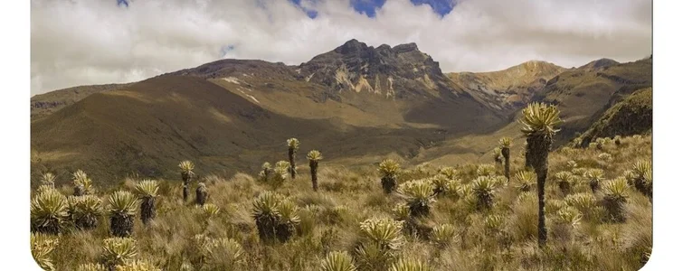 love_amor_ Soon 🧳🌞Vacationes 🧳🌞 Immagine  7