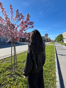 JohnieGilcreast Public 사진 3
