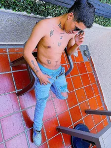 Public de kenil_salvadorr  5 Imagens