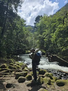 Nature de TigerStripes1_  4 Imagens