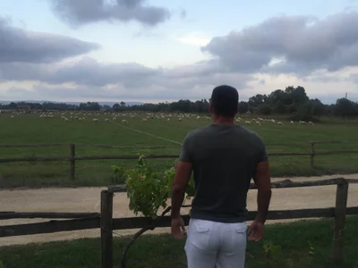 Leo_1617 i m the black sheep Foto