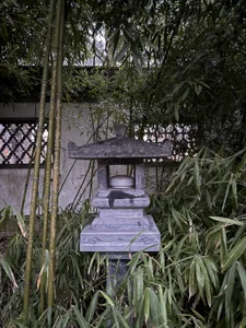 Zdjęcia Tommy_Lidds China park 🌴🍃:  7