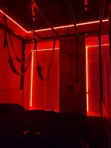 Polya01 Public зображення 4