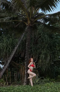 MayaSolar's photo