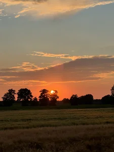 Zdjęcia tipico0799 Public:  4