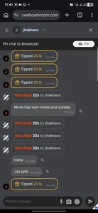 Panel11 My Tipper Hình 6