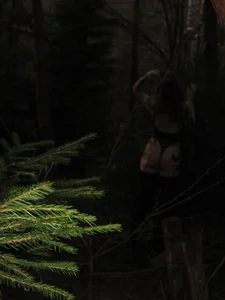 🪾My forest album🌲 de RebelSinDoll  2 Imagens