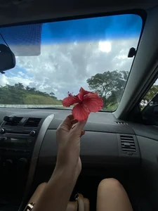 pahula_M Public Bilde 2