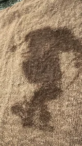 Hanabi-hentai 世紀末の遺産 Pic