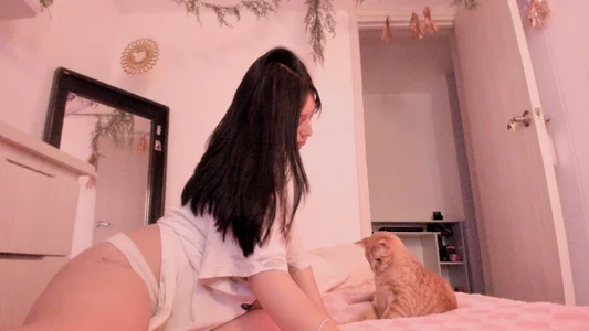 tokyouwu__ Two orange kittens Foto 5