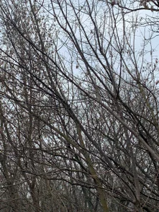 liana_kisses The vibe of early winter... ❄️ Pic 3