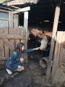 Summer, Fields & Gentle Giants de SheliaBinkley  4 Imagens