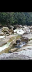 Annabell_Florez my escape spot, nature 💚💚💚 Pic 7