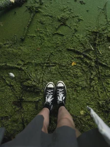 barbara_crazy Green tenderness 🍃💓 Foto 5