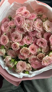 Zdjęcia MelissaMelrey 💎🌸:  3