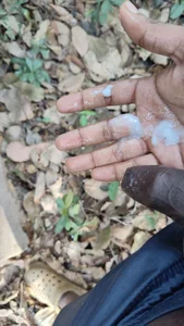 Public de ruvdas07  4 photos