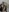 AgathaMeow's photo