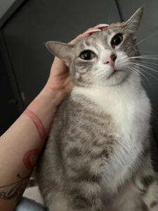 My babies 💕 de LITTLE-VIVI Foto 6