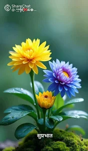 Public de mumbai_dick Foto 4