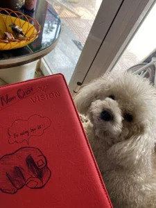 Domanzii Public Εικόνα 5