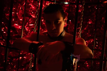 Maximo__: BDSM San Valentines Day ( фото)