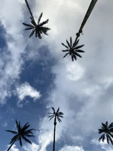 Annycolin_のPublicの 4枚の写真