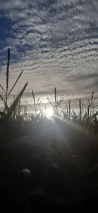 FreezingTie850: 1 ( фото)