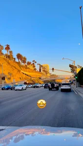 Anisha_Foxx Los Angeles California Pic 3