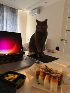 VelvetChloePublic图片 3