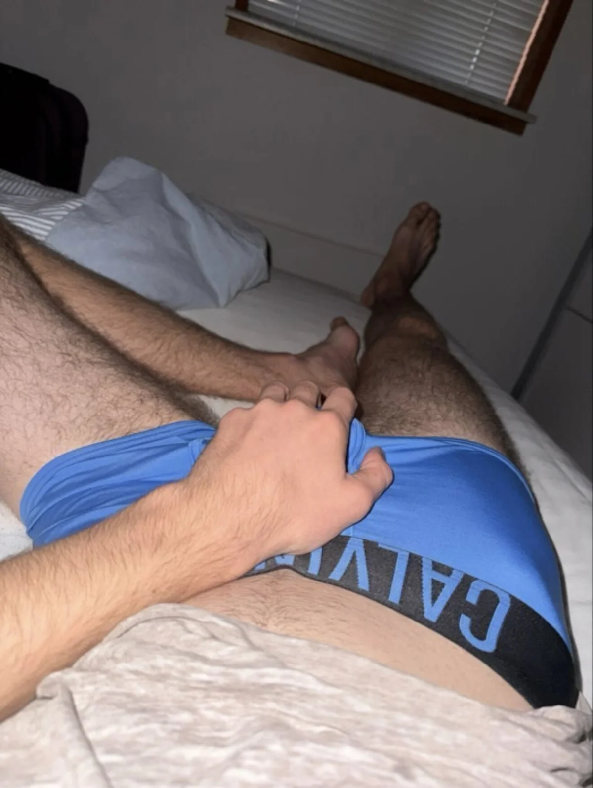 Трендове зображення  4851 donkeyteam