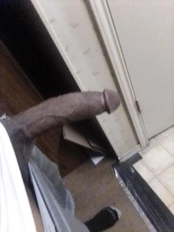Stanley1995knight Trending Plaatje 2864