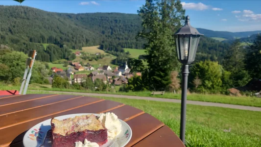 Lisaonthemoon Schwarzwald <3 Pic 8