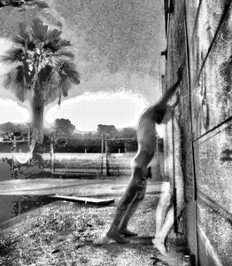 dog-naked Public Immagine  5