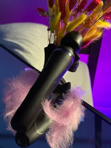 Elis_Fox my little friends Foto 7