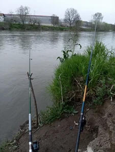 Alenride My passion Immagine  7