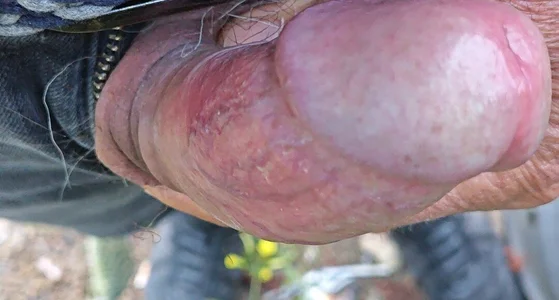 jhonschen's Nudo tra la natura Sex Photo 4