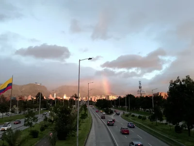 SweetFortuner 🍃 Pic 2