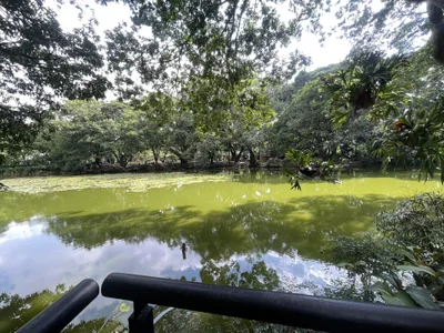 king_hard 💀🤟 Immagine  4