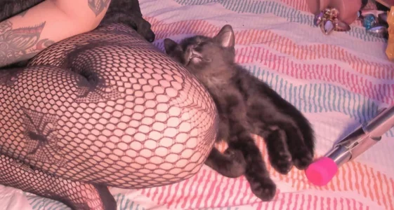 Zdjęcia Sarah-Stoner Smokey😻😻😻:  6