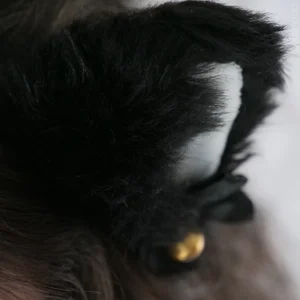 yulladao Dark kitty Immagine  2