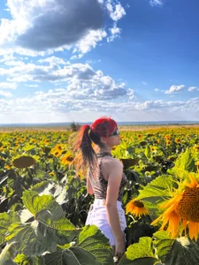 EvaThopson sunflowers Εικόνα 3