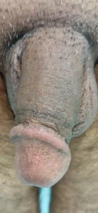 IndianMan0102 Sleeping Lund Pic