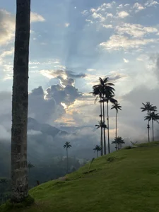 Annycolin_のPublicの 3枚の写真