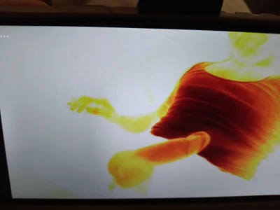 Zdjęcia lilpervt D PEES:  4